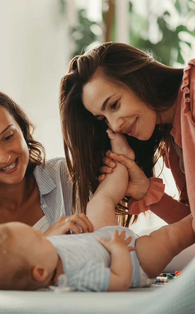 AdobeStock 281262763 e1775658376256 - inseminación artificial
