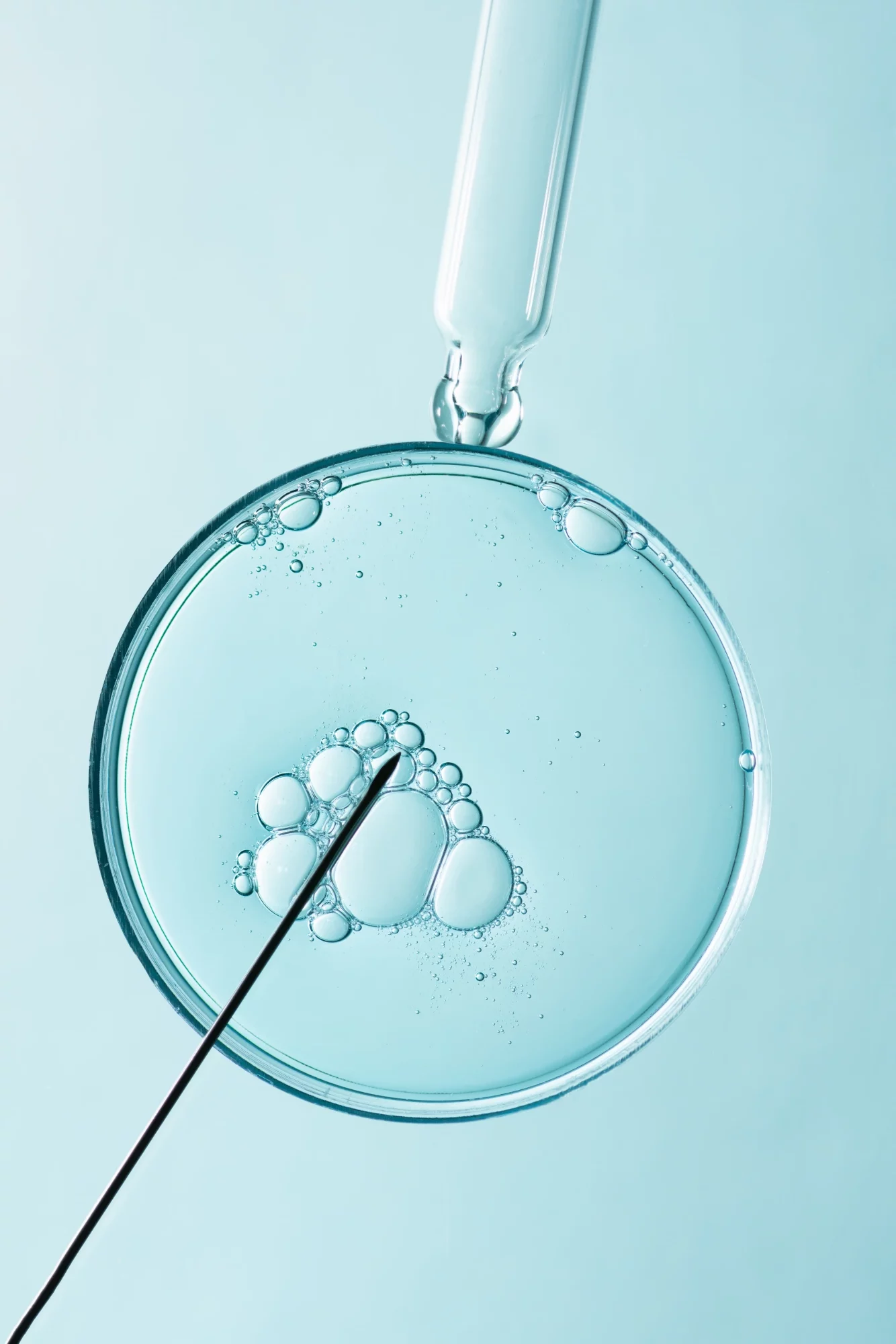 ¿Cómo es el proceso de la Fecundación in vitro (FIV)?