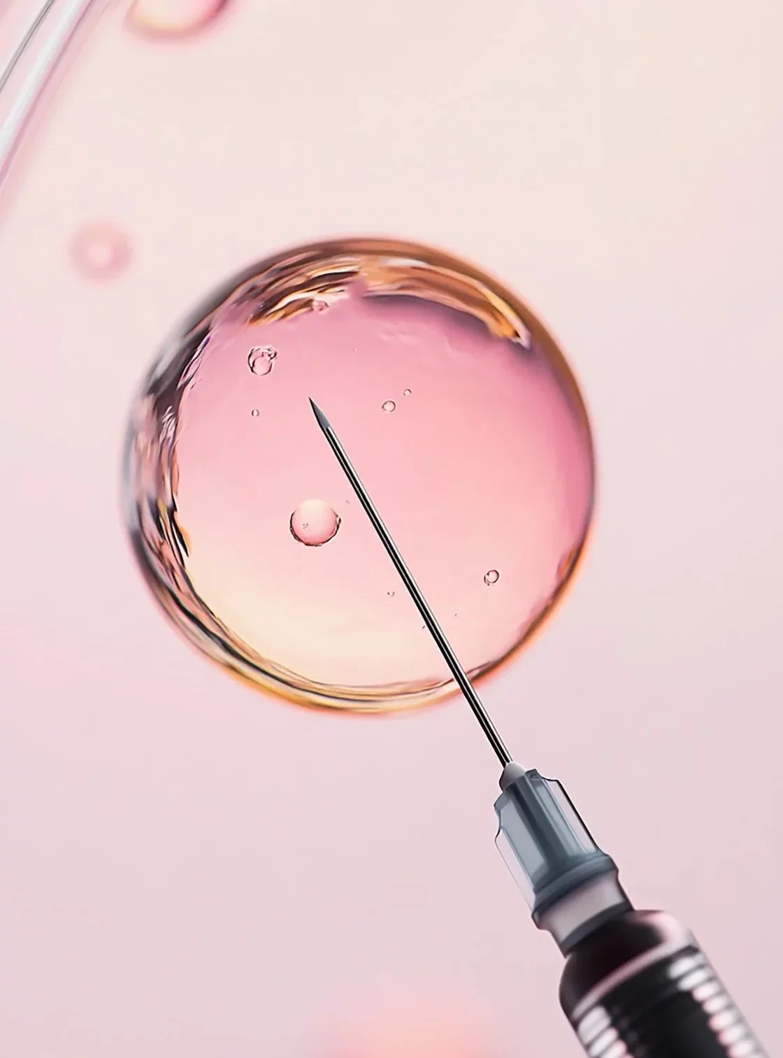 El proceso de inseminación artificial paso a paso